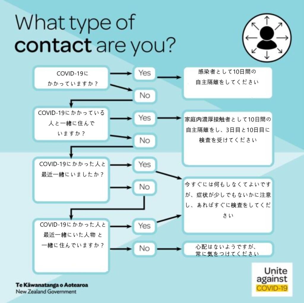 What-type-of-contact-are-you Japaneseのサムネイル
